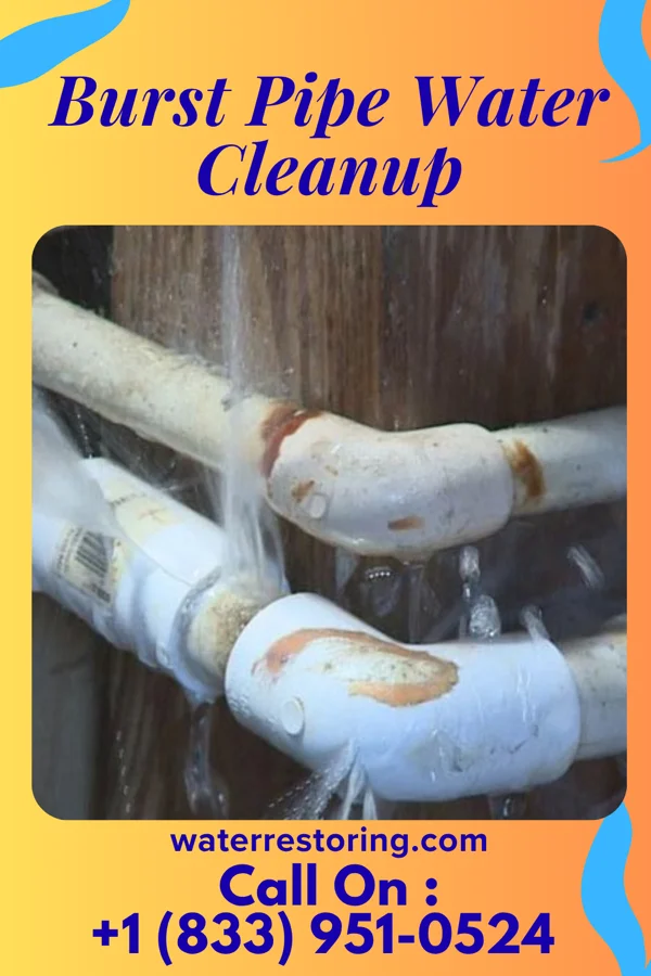 Burst Pipe Water Cleanup in Cairo, OH