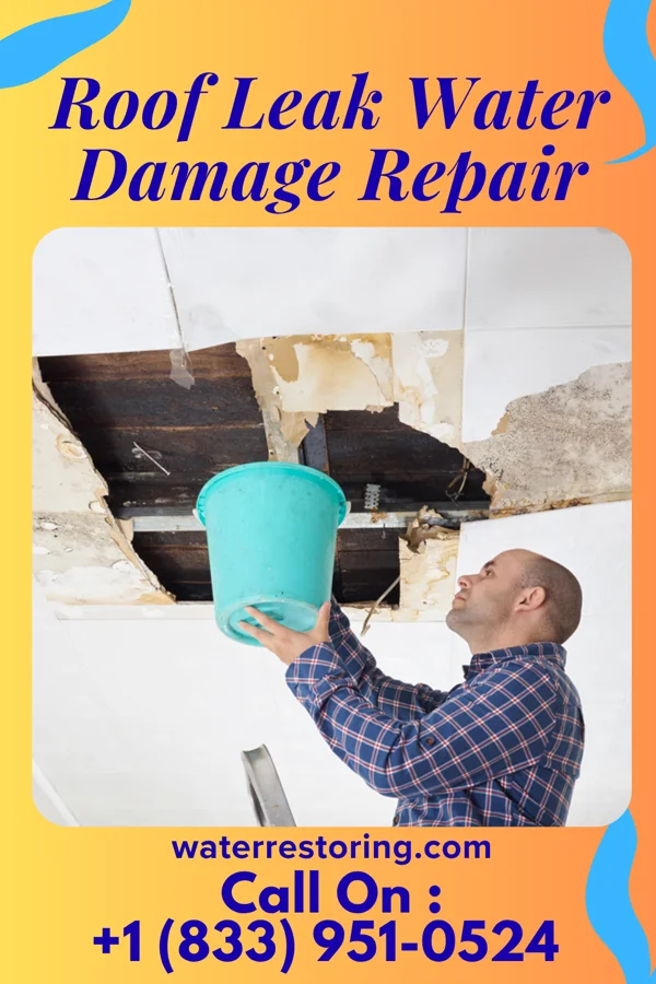 Roof Leak Water Damage Repair in Cairo, OH
