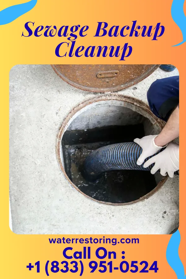 Sewage Backup Cleanup in Cairo, OH