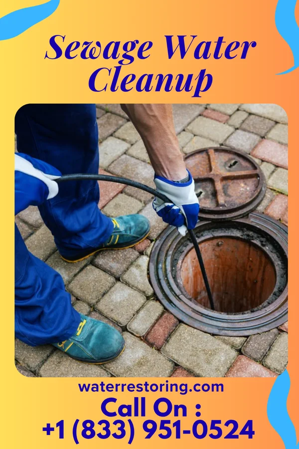 Sewage Water Cleanup in Cairo, OH